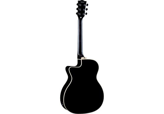 EKO Guitare Auditorium cutaway electro See Through Black